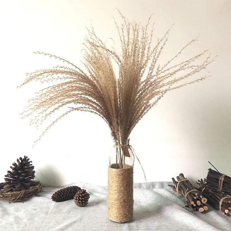 Pampas Grass Simple Home Decor