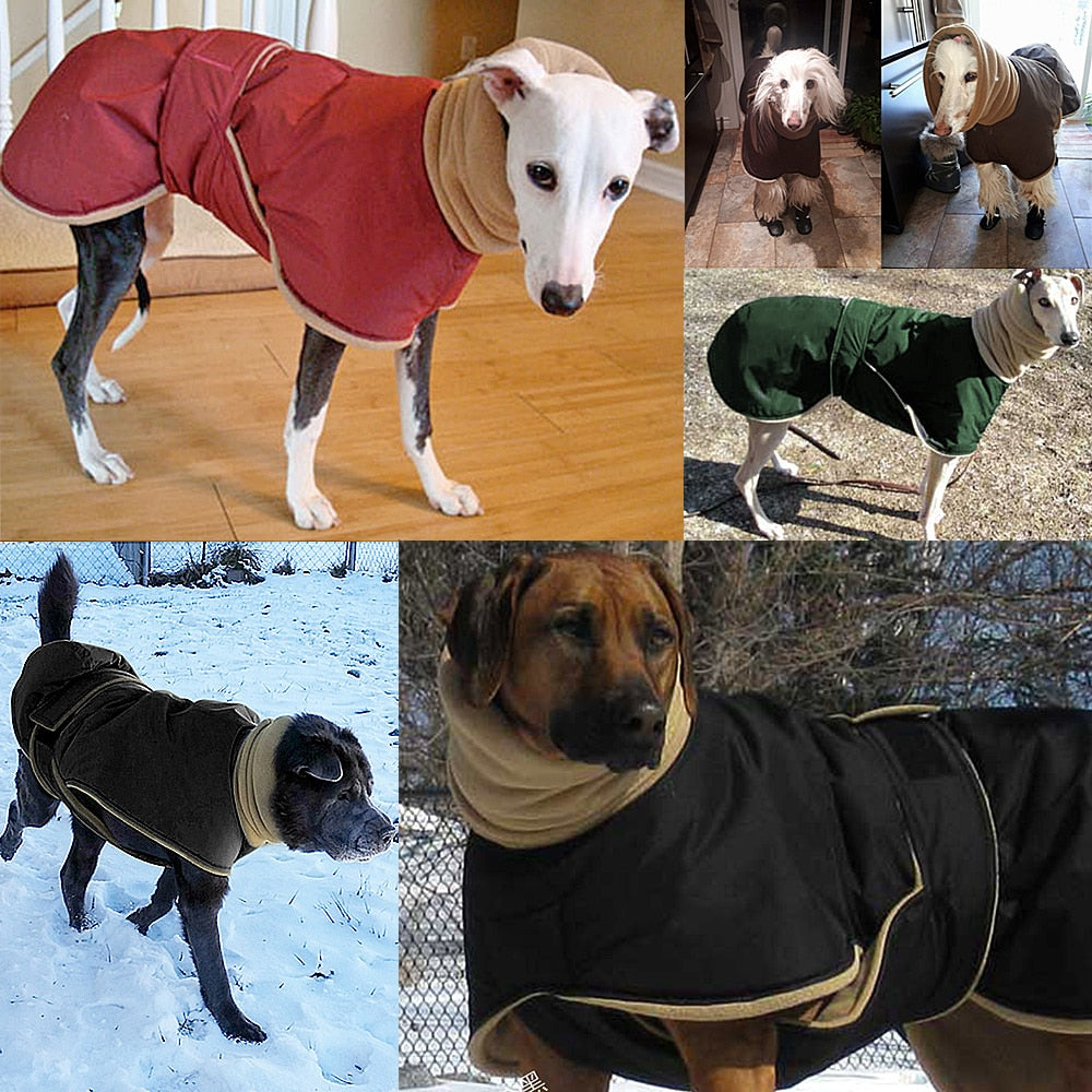 Waterproof Warm Winter Dog Jacket Large Breeds