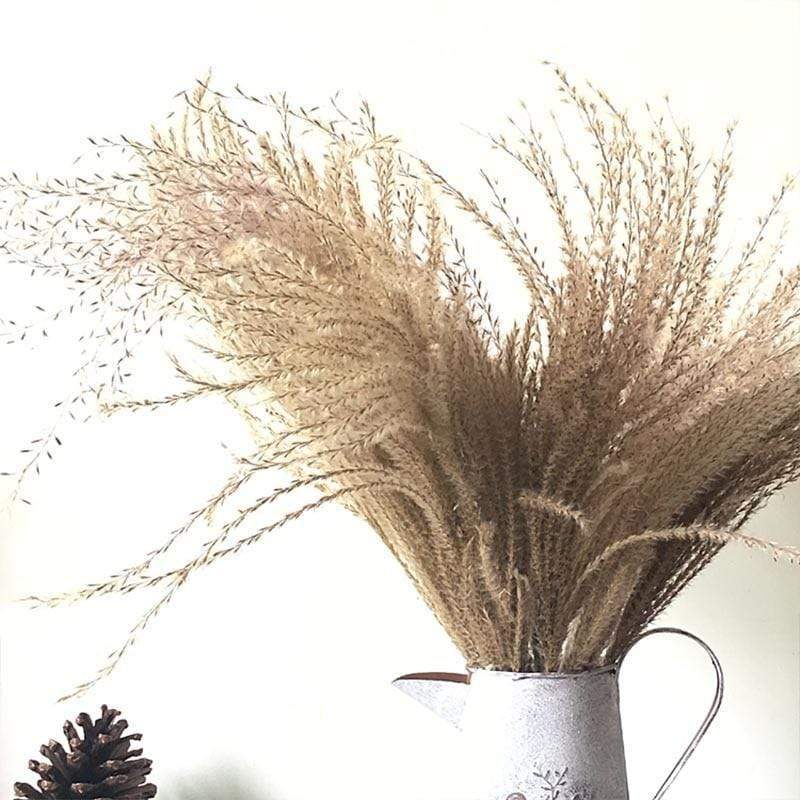 Pampas Grass Simple Home Decor