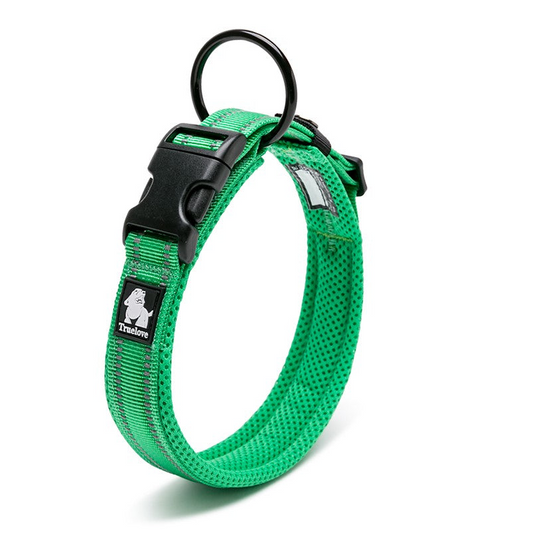 1 Sets of True Love 1 Sets Of Heavy Duty Reflective Collar Grass Green Stainless Steel Ring Reflector