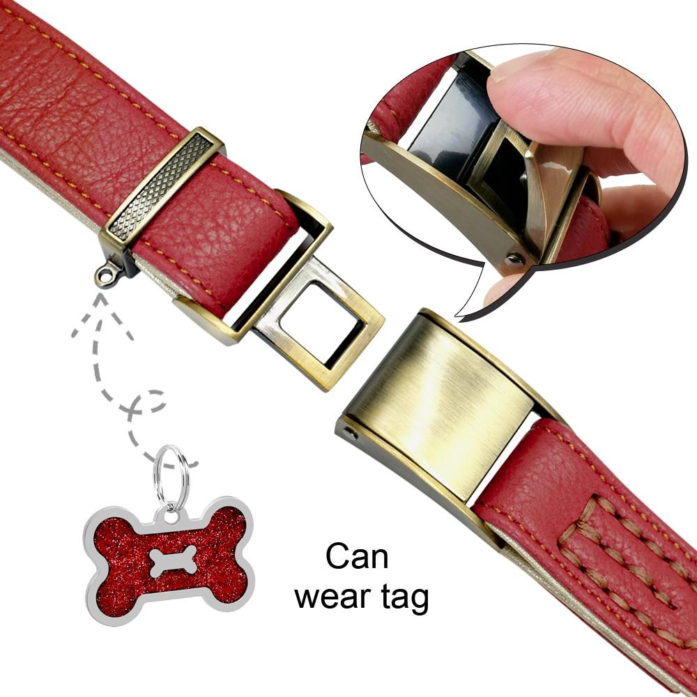 Padded Genuine Leather Dog Collars