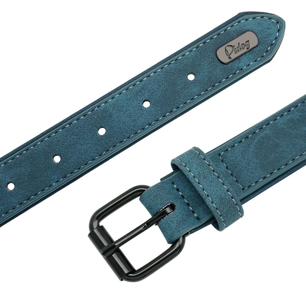 Vibrant Colours Personalized Dog Collars Leashes
