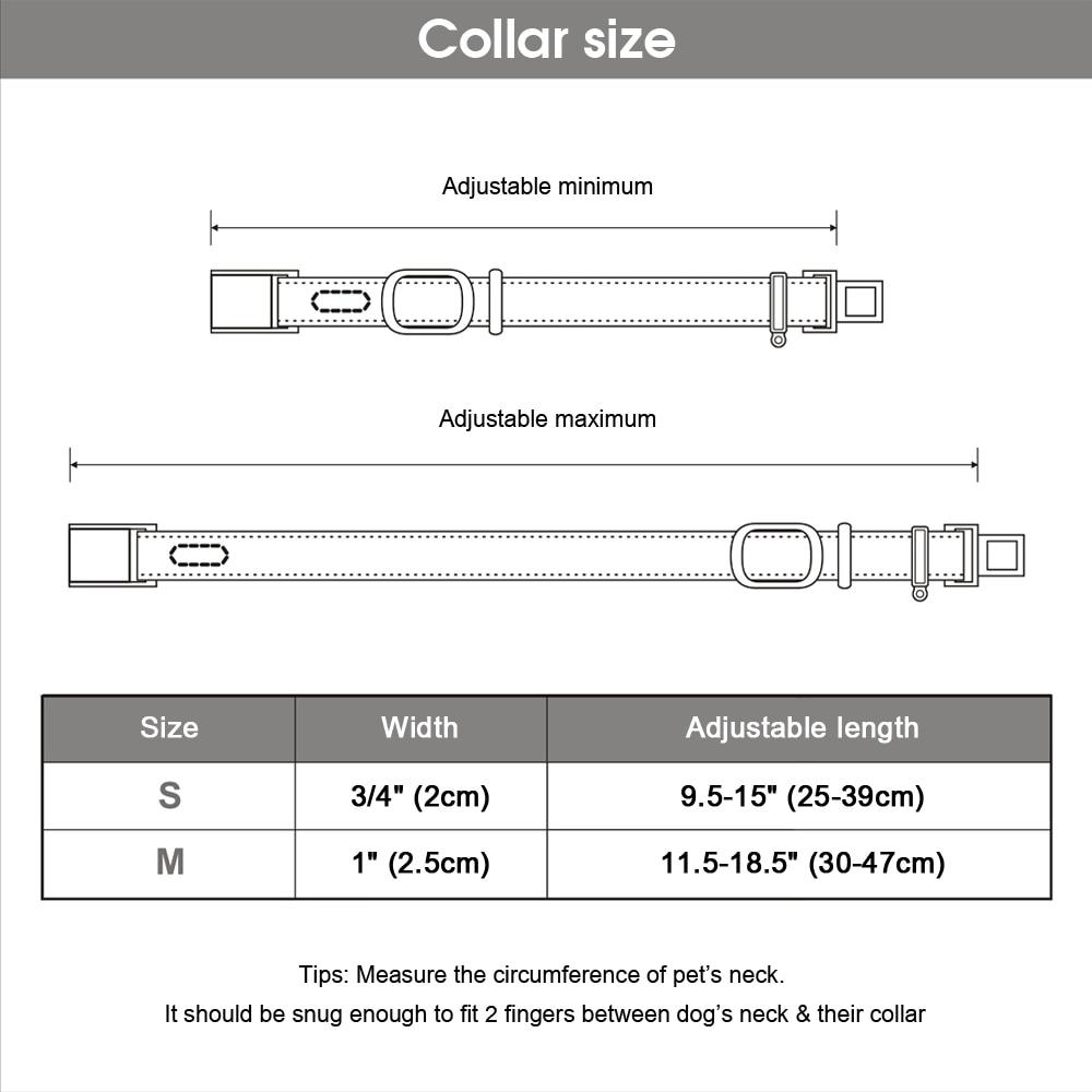 Padded Genuine Leather Dog Collars