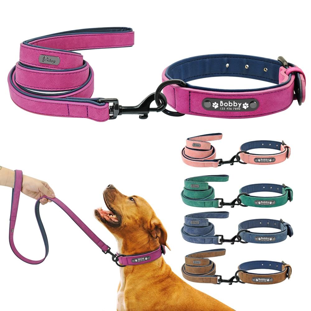 Vibrant Colours Personalized Dog Collars Leashes