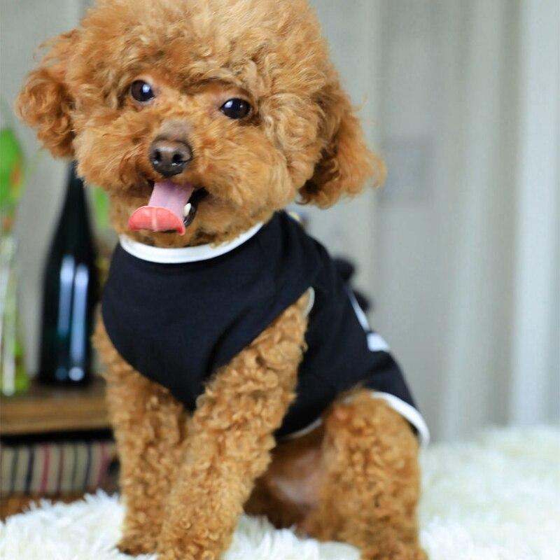 Printed Love Dog Tee Pet Clothing