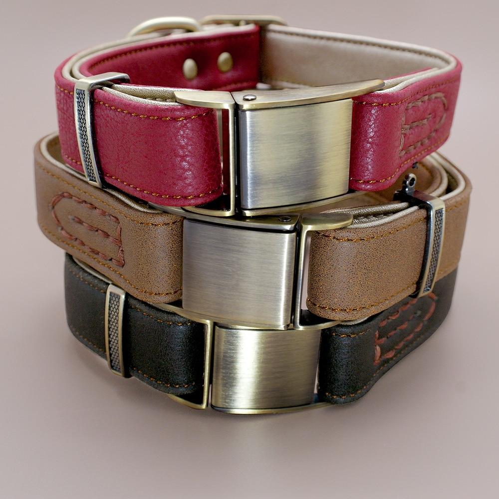 Padded Genuine Leather Dog Collars