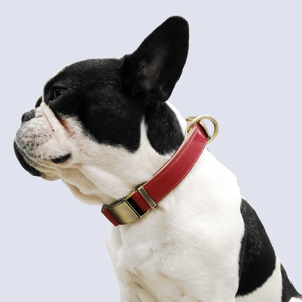 Padded Genuine Leather Dog Collars