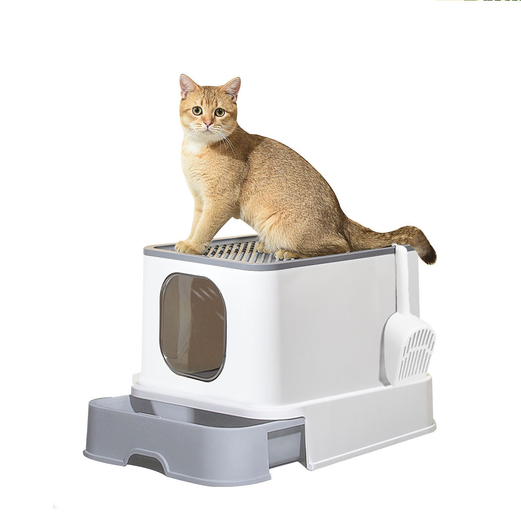 Pawz Cat Litter Box Fully Enclosed Kitty Blue