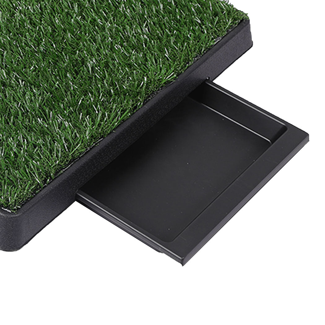 Pawz Indoor Dog Pet Grass Potty Training L Convenient And Clean Solution For