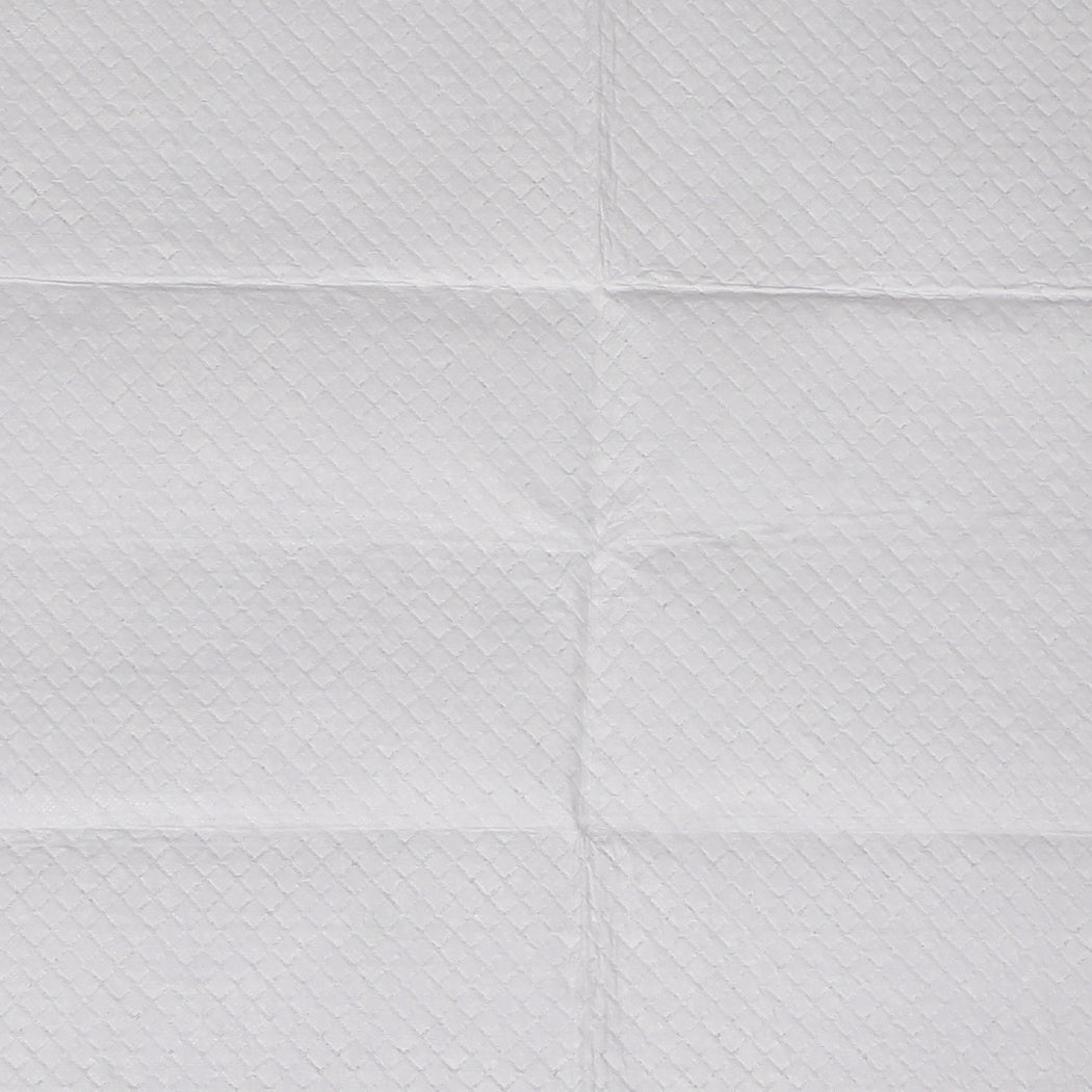 Pawz 100X Pet Dog Toilet Training Pad Convenient And Absorbent Pads For Puppy