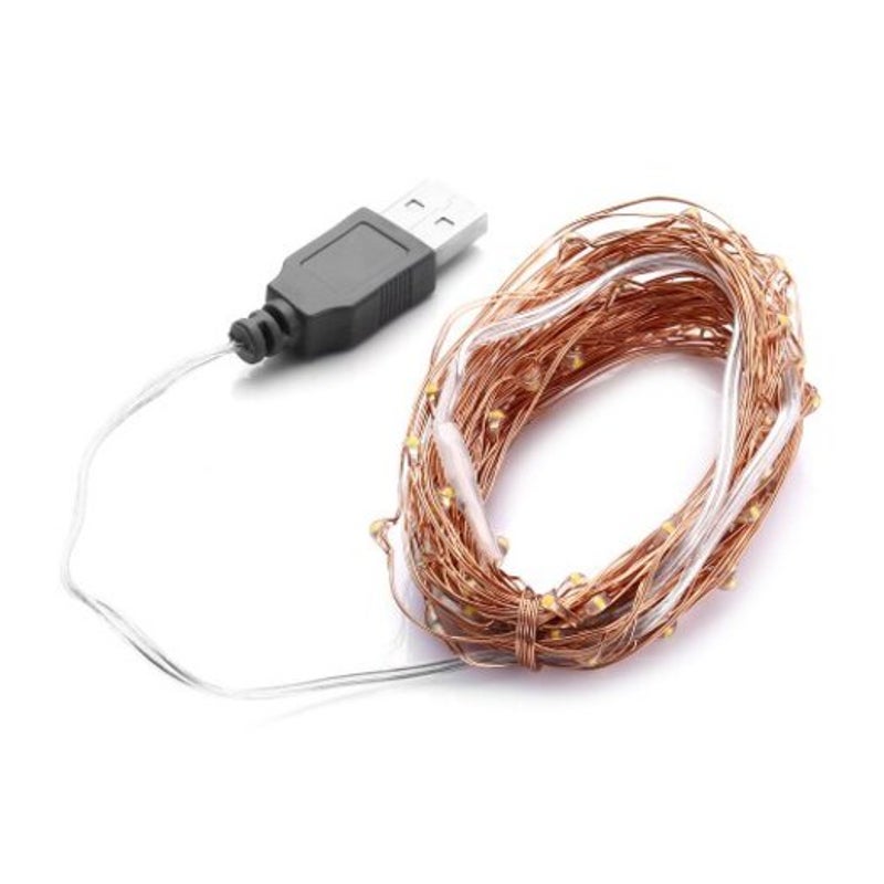 10M 100 Led Usb Decoration Light Strip Copper 1Pc