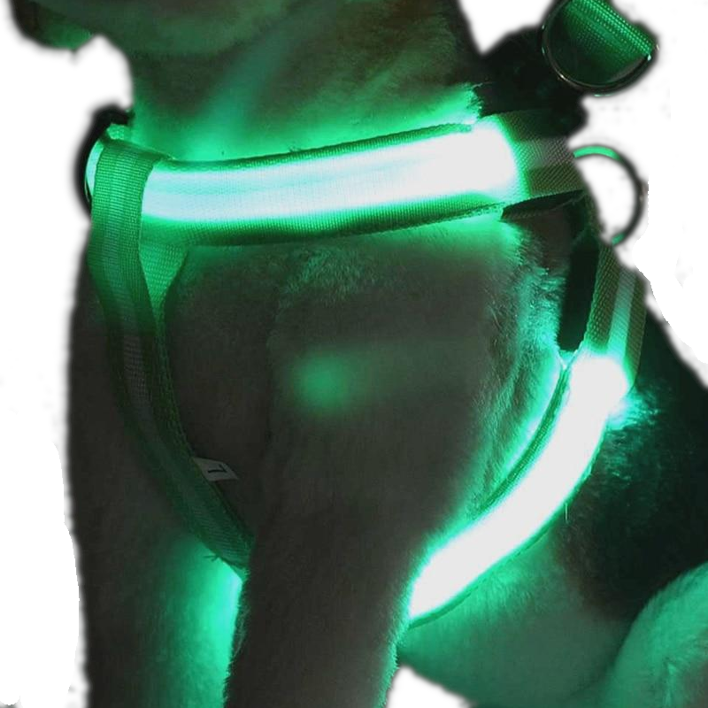 1 Sets of Hod Health & Home 1 Sets Of Usb Rechargeable Led Nylon Dog Collar Harness Flashing Light Up Safety Pet Collars