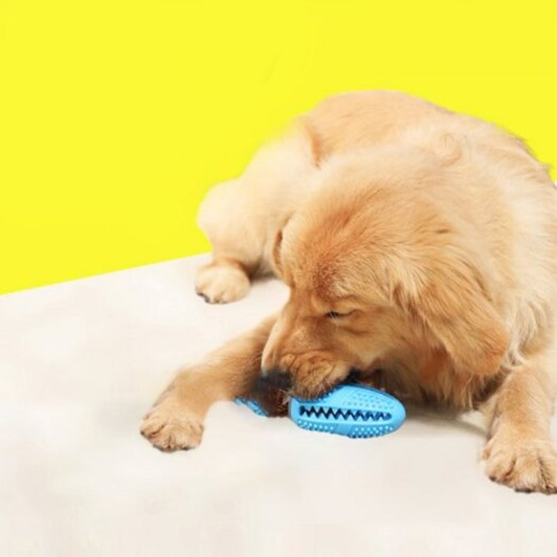Dog Toys Toothbrush Iq Treat Dispensing Ball Rope Safe Teeth Cleaning Pet Chew Blue