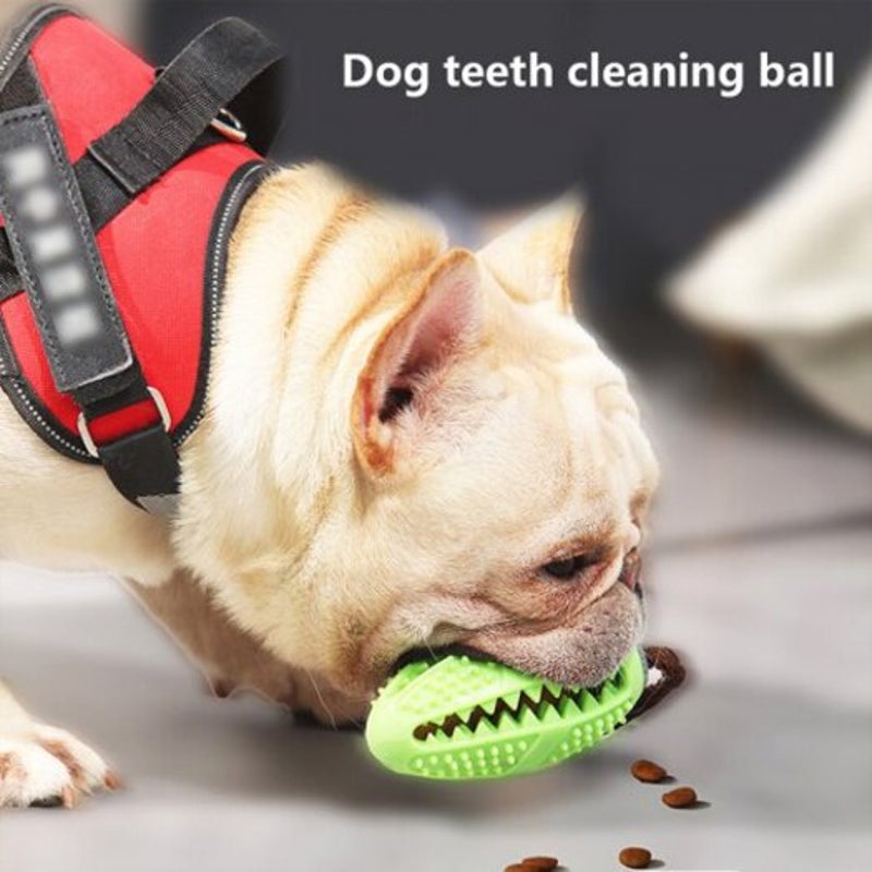 Dog Toys Toothbrush Iq Treat Dispensing Ball Rope Safe Teeth Cleaning Pet Chew Blue