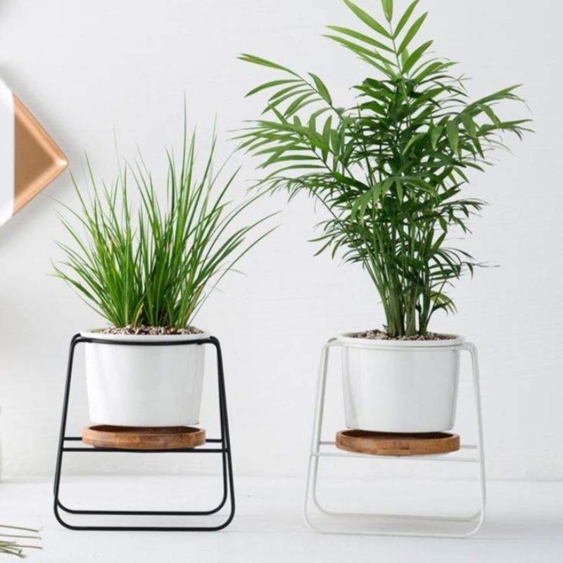 Poise Pot Indoor Little Plant Stand Decor