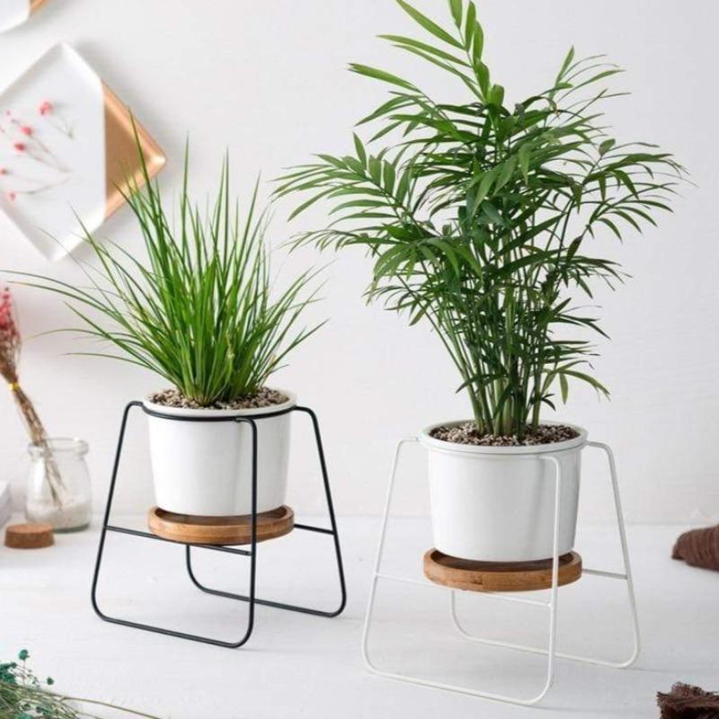 Poise Pot Indoor Little Plant Stand Decor