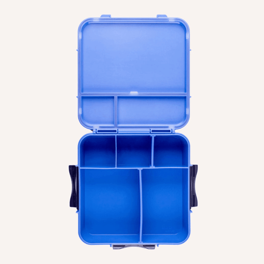 Bento Plus Lunch Box Blueberry Large Capacity Leakproof Food Container
