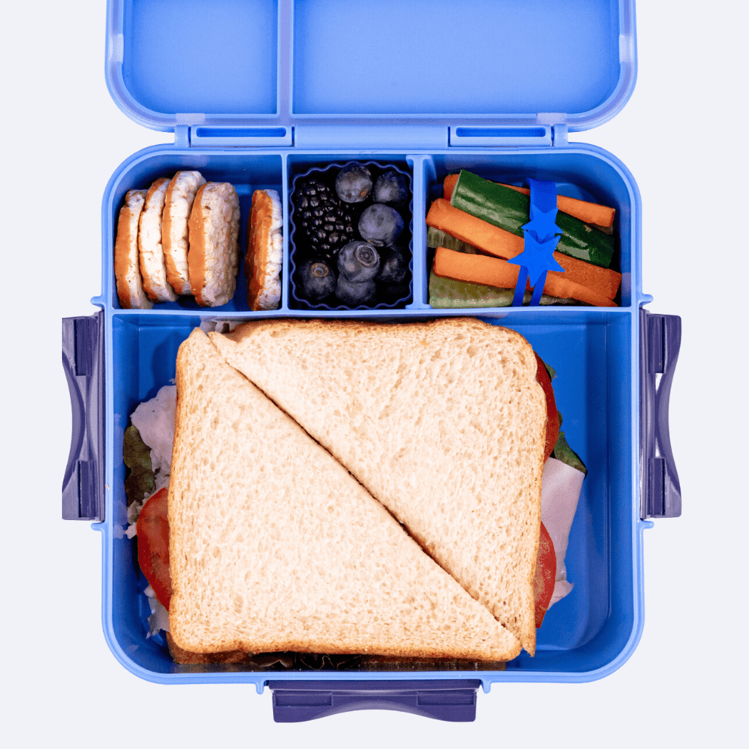 Bento Plus Lunch Box Blueberry Large Capacity Leakproof Food Container