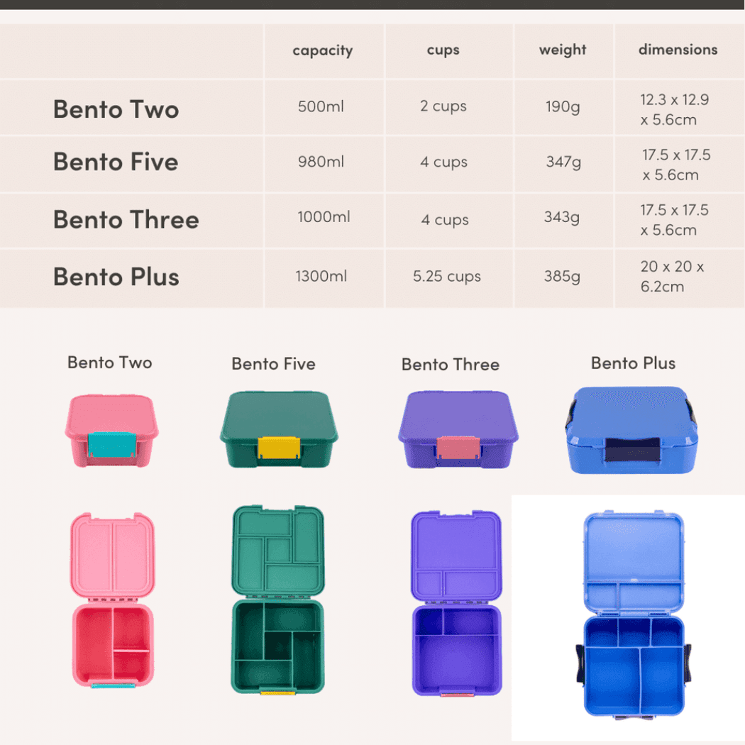 Bento Plus Lunch Box Blueberry Large Capacity Leakproof Food Container