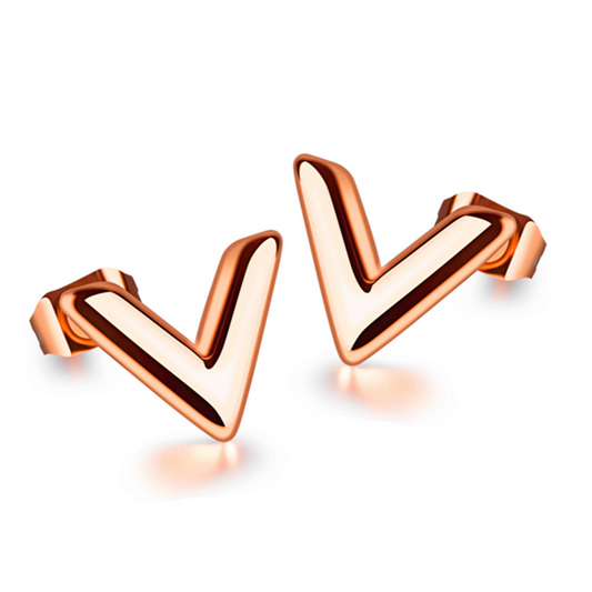 Veile Studios Simple Fashion Titanium Steel Unique Shape Earrings