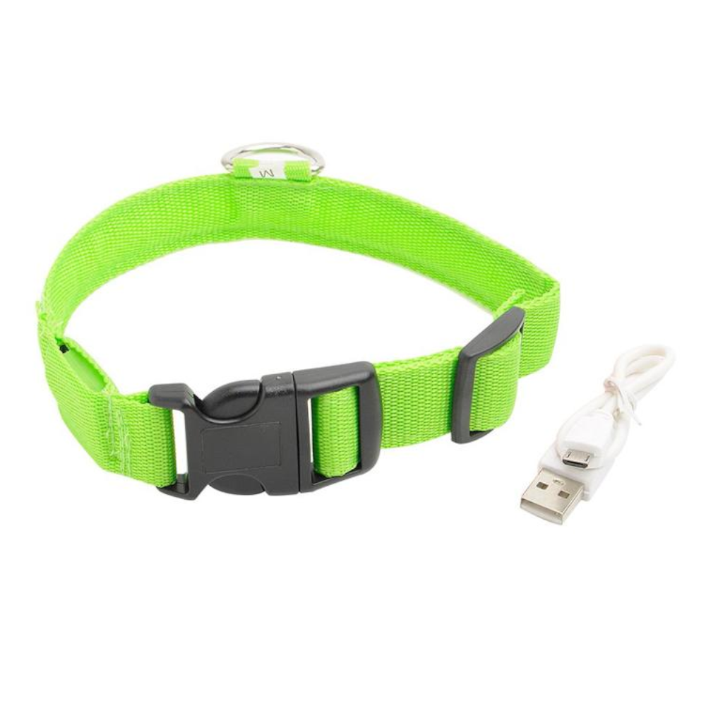 Novelty Safety Usb Charging Led Dog Collar Puppies Walking Light Up