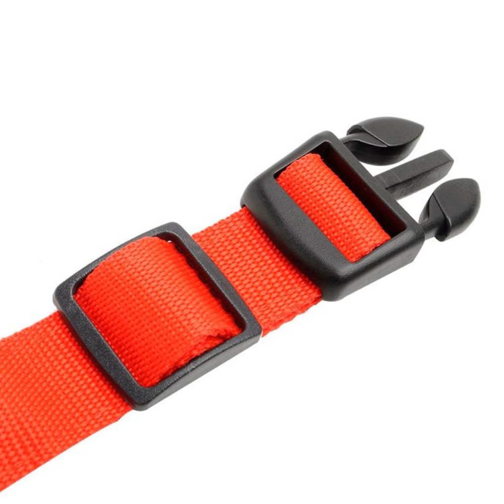 Novelty Safety Usb Charging Led Dog Collar Puppies Walking Light Up