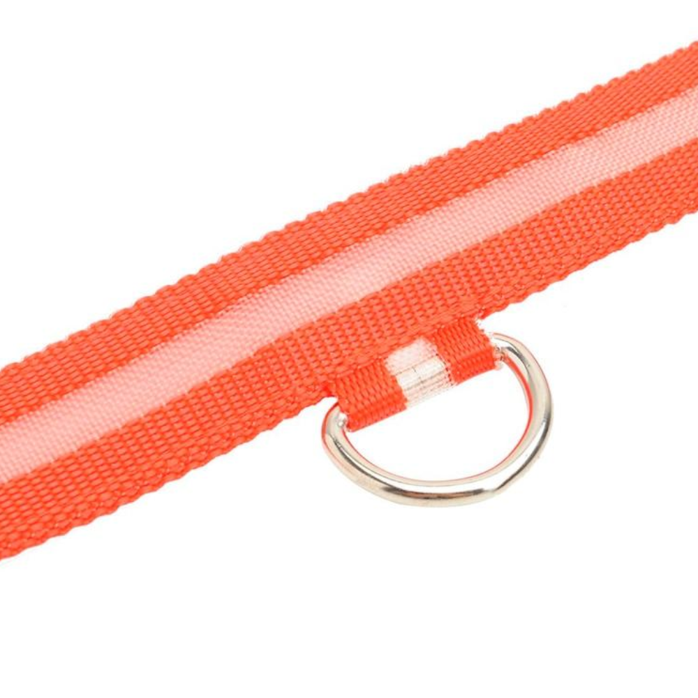 Novelty Safety Usb Charging Led Dog Collar Puppies Walking Light Up
