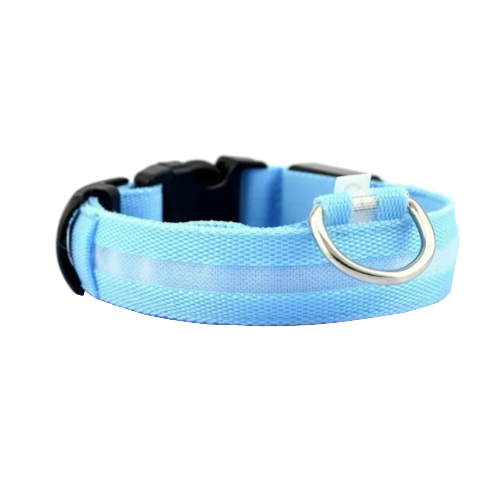 Novelty Safety Usb Charging Led Dog Collar Puppies Walking Light Up