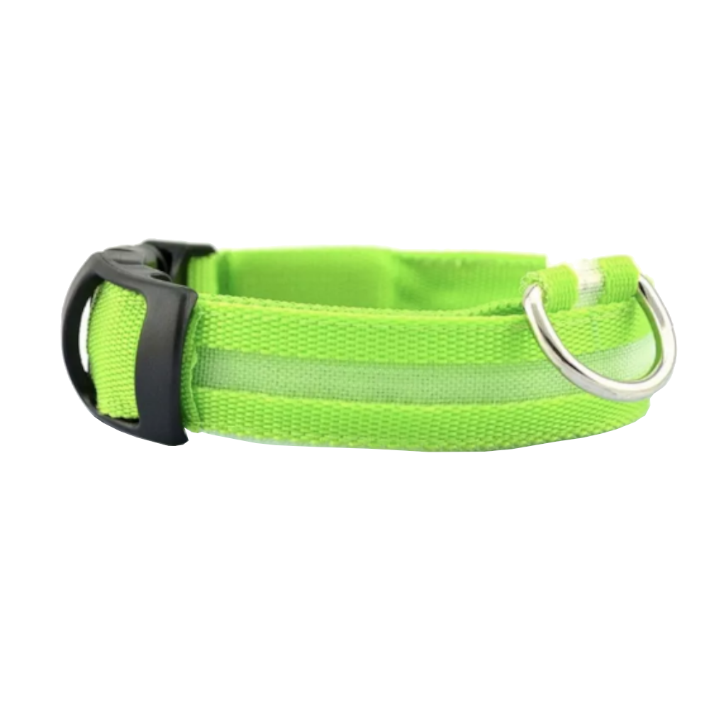 Novelty Safety Usb Charging Led Dog Collar Puppies Walking Light Up