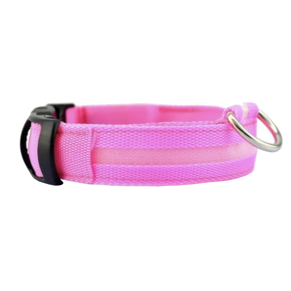 Novelty Safety Usb Charging Led Dog Collar Puppies Walking Light Up