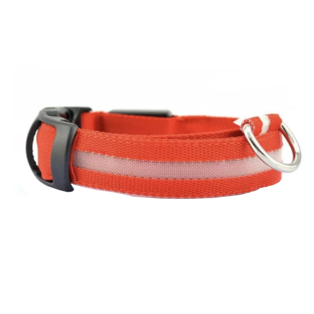 Novelty Safety Usb Charging Led Dog Collar Puppies Walking Light Up