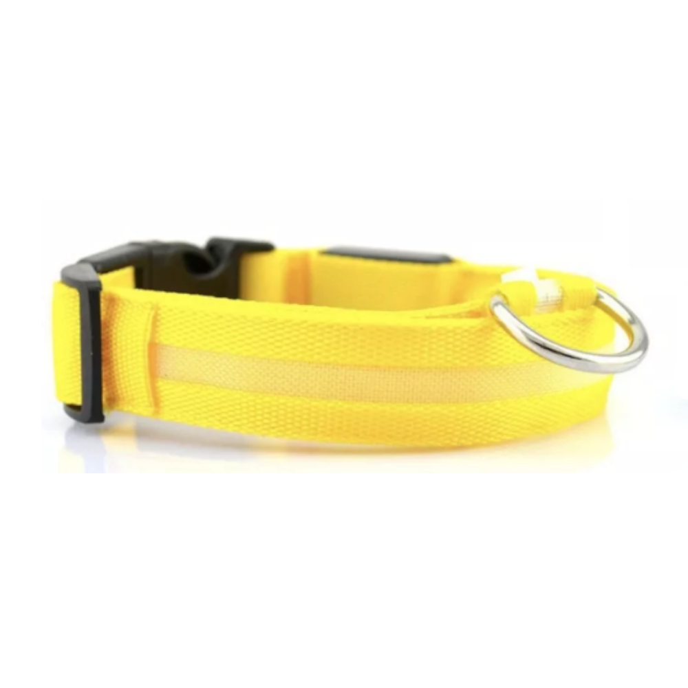 Novelty Safety Usb Charging Led Dog Collar Puppies Walking Light Up
