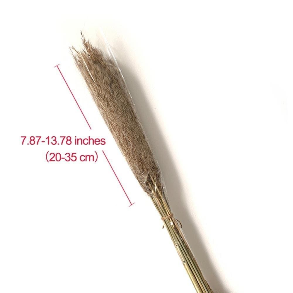 Pampas Grass Simple Home Decor
