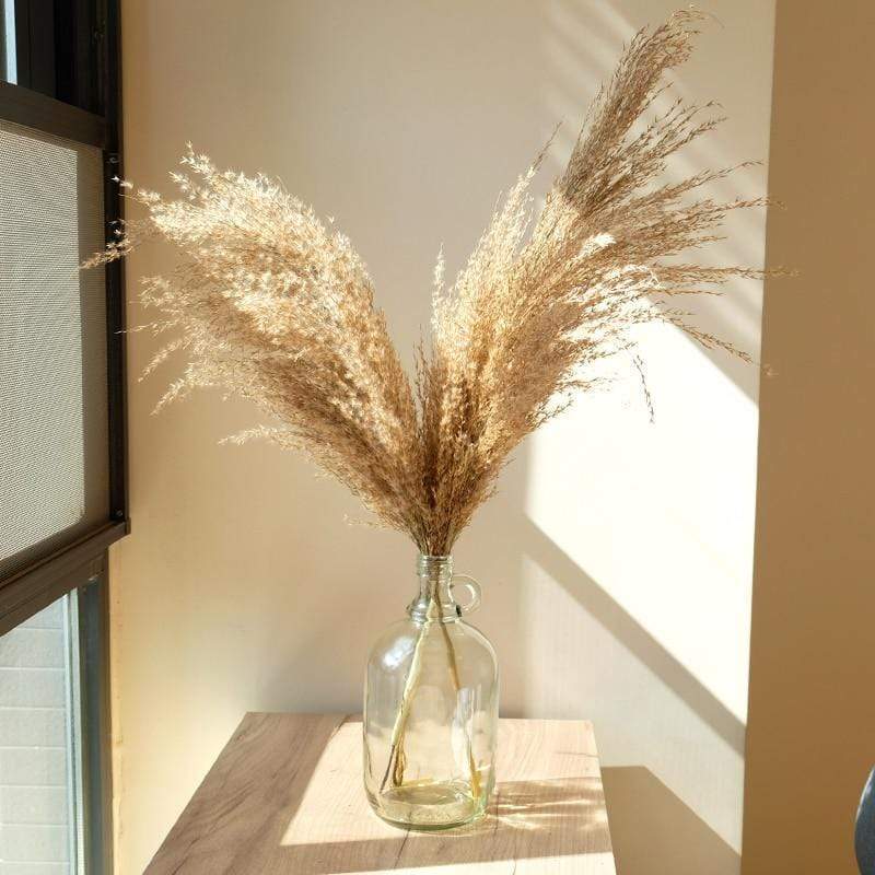Pampas Grass Simple Home Decor