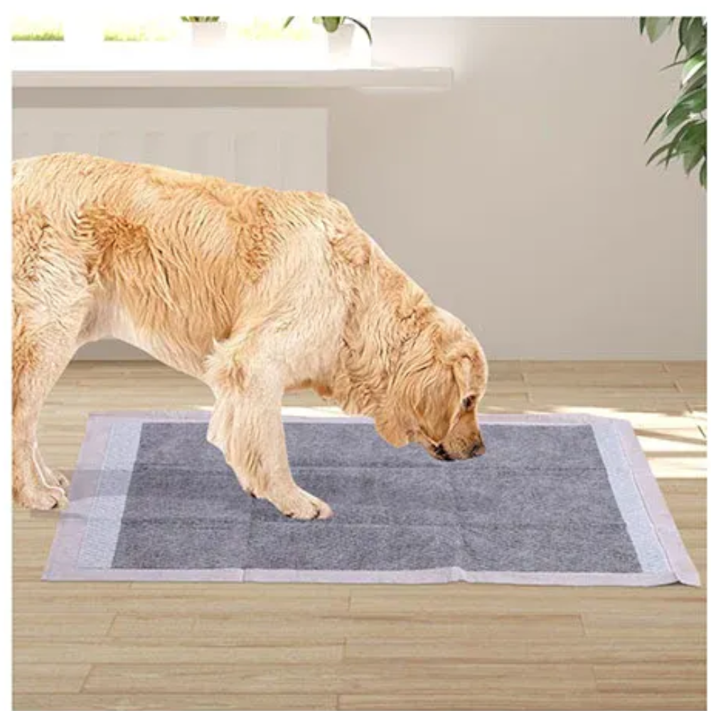 Pawz 200 Pcs 60X60cm Charcoal Pet Puppy