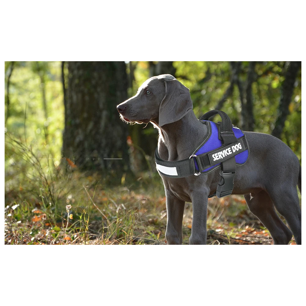 Personalized Dog Reflective 3M No-Pull Pet Harness Vest