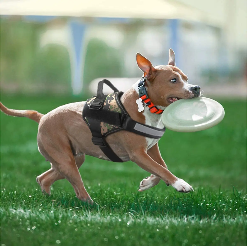 Personalized Dog Reflective 3M No-Pull Pet Harness Vest