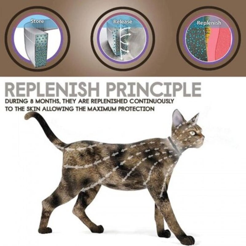Pet In Vitro Insect Repellent Collar Cats Dogs Anti Worm Lice Plant Essential Oil Protection M