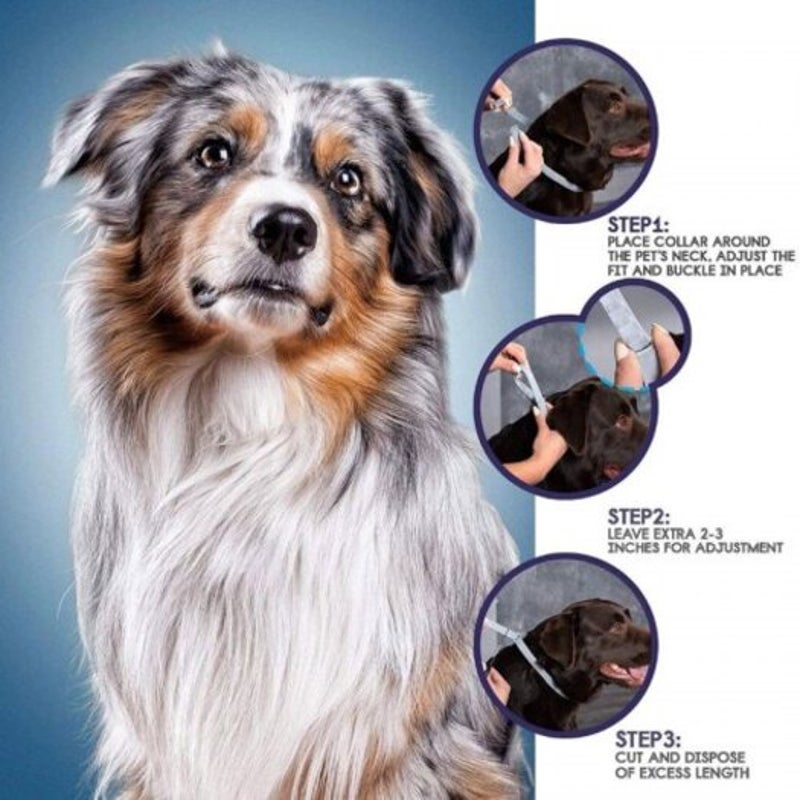 Pet In Vitro Insect Repellent Collar Cats Dogs Anti Worm Lice Plant Essential Oil Protection M