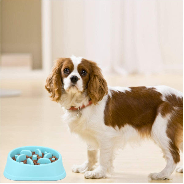 Pet Bowl High Quality Plastic Slow Food Helps Dog Digestion Supplies