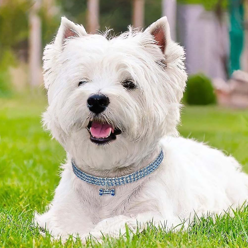 Pet Diamante Collar Bling Rhinestones Wedding Party Walking