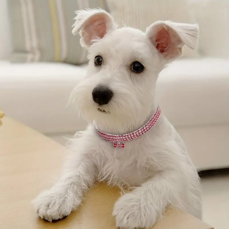 Pet Diamante Collar Bling Rhinestones Wedding Party Walking