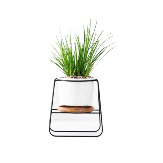Poise Pot Indoor Little Plant Stand Decor