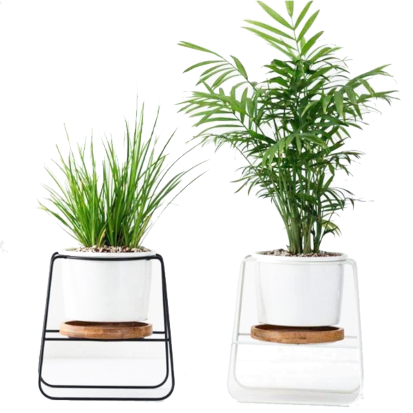 Poise Pot Indoor Little Plant Stand Decor