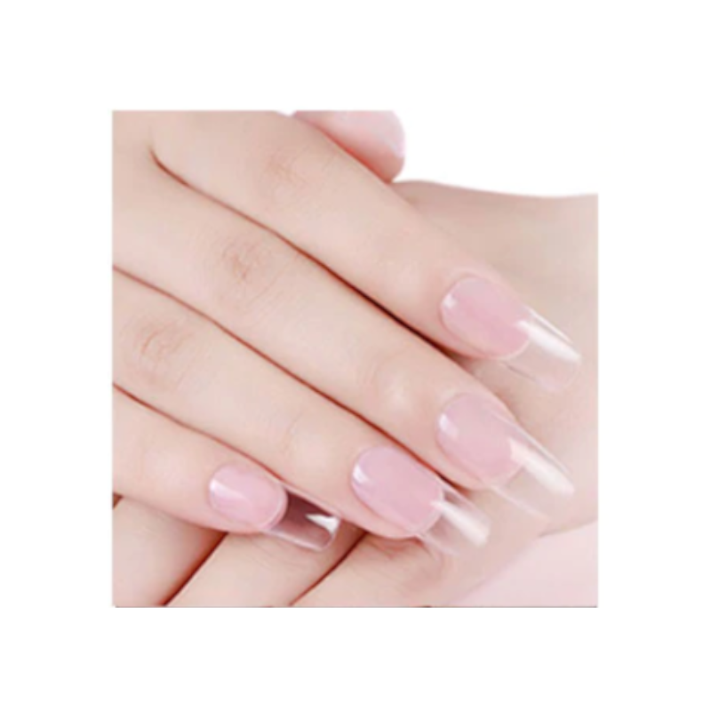 Premium Polygel Nail Kit