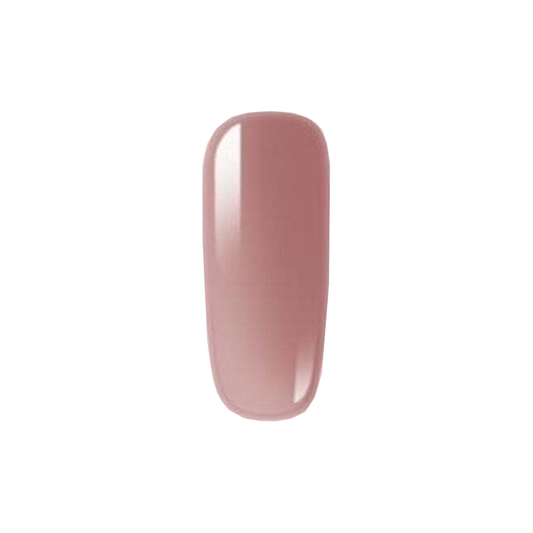 Premium Polygel Nail Kit