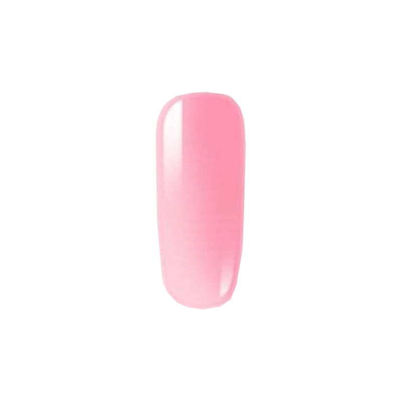 Premium Polygel Nail Kit