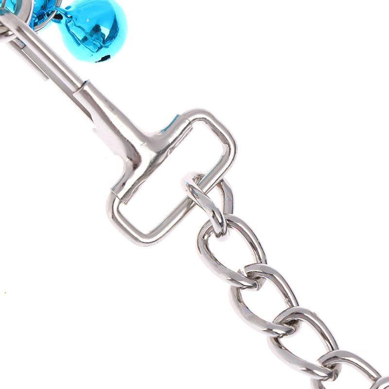 Small Metal Butt Rhinestone Leash Stainless Steel Anal Plug Bdsm Restraints