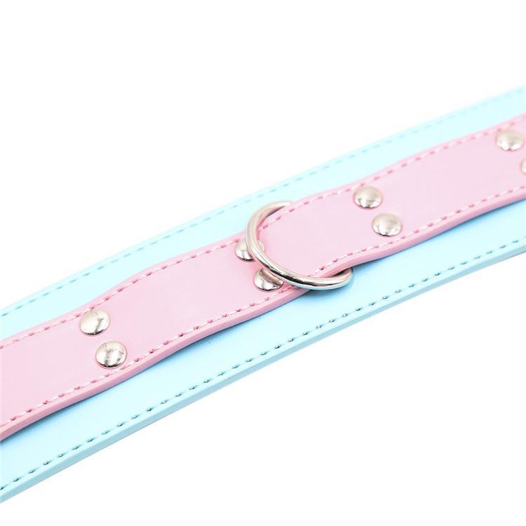 Cute Pastel Pink And Blue Collar With Leash Bdsm Puppy Pet Play
