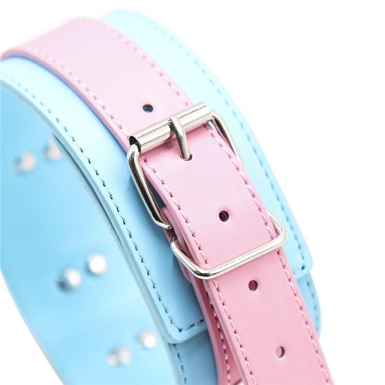 Cute Pastel Pink And Blue Collar With Leash Bdsm Puppy Pet Play